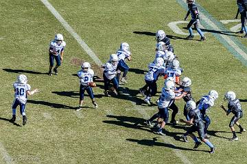 D6-Tackle  (247 of 804)